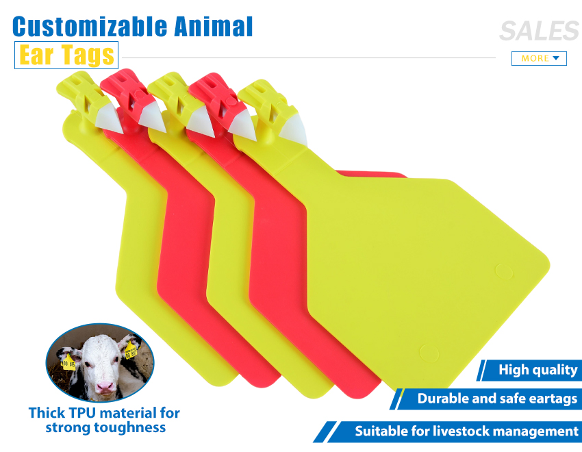 ET-008_01.jpg ET-008_01.jpg