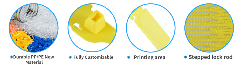 PS-C14_01_02.jpg PS-C14_01_02.jpg